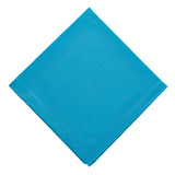 Linho Cotton Napkin - Turquoise - set of 2